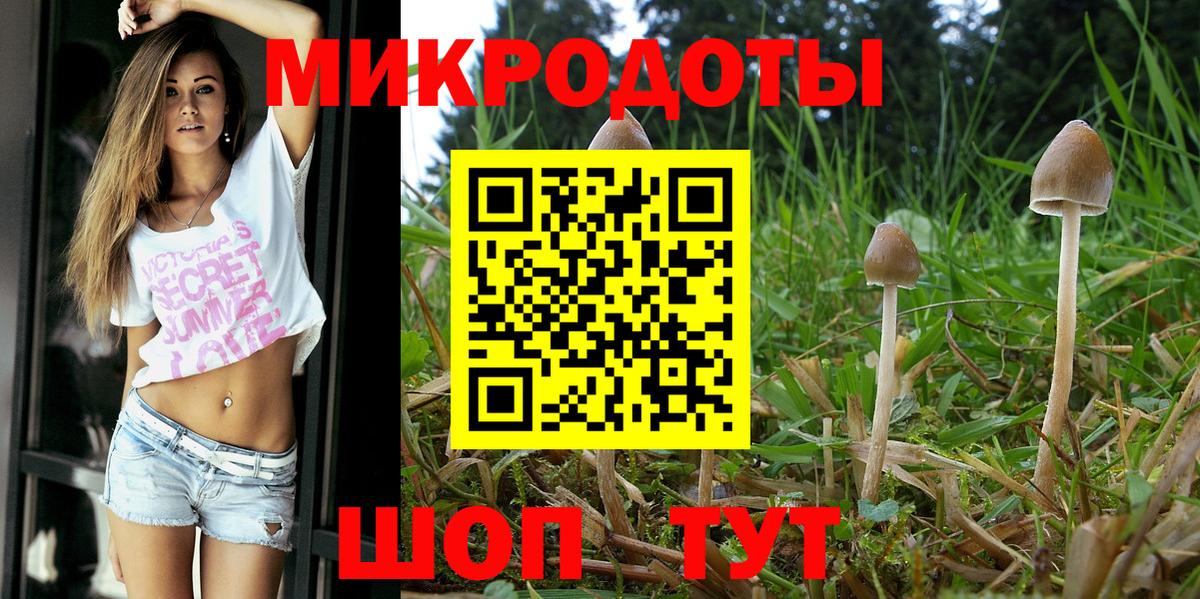 Галлюциногенные грибы Magic Shrooms Рубцовск